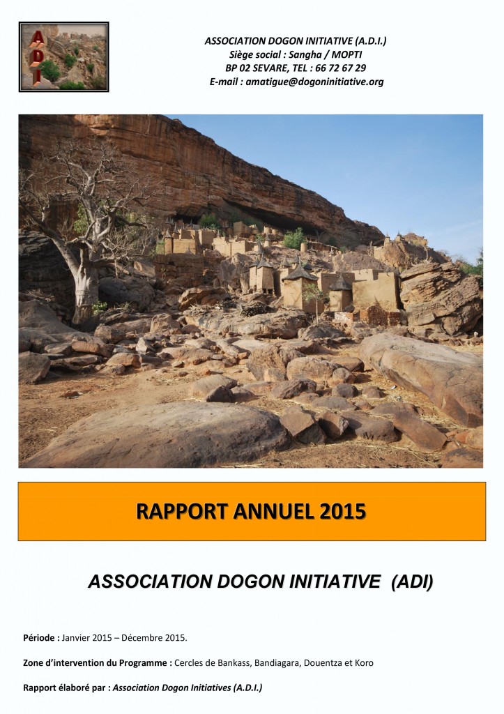 ADI Rapport d activités 2015_cover